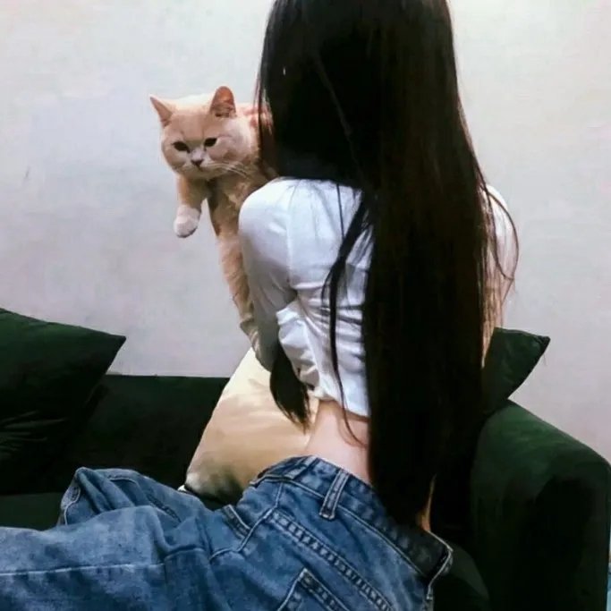 完美琴仇