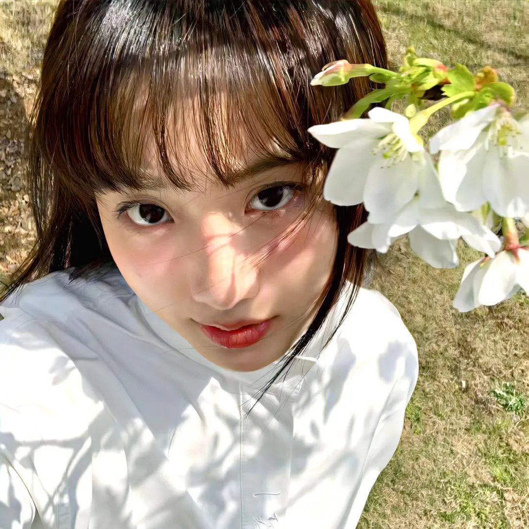 长歌行动画版